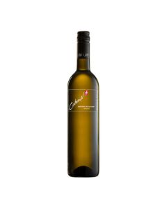Grüner Veltliner Grinzing 2018 750ml - Weißwein von Weingut Cobenzl