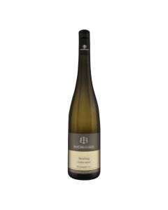 Riesling Gedersdorf 2021 750ml - Weißwein von Weingut Buchegger